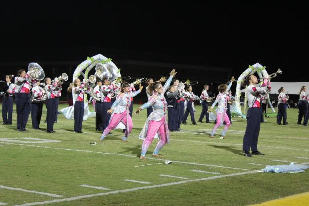 Pride of the Pack