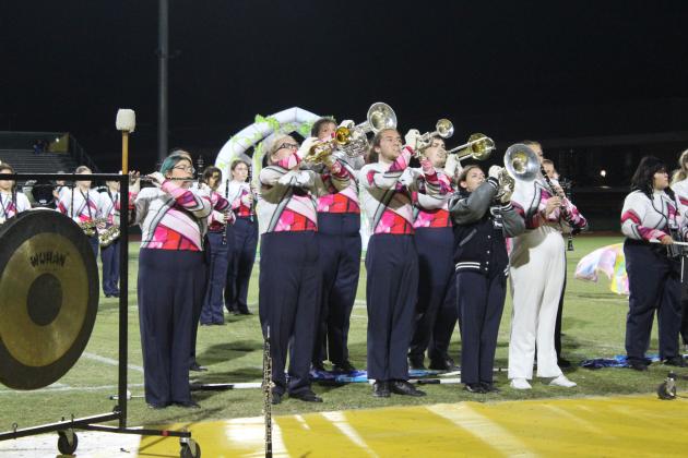 Pride of the Pack