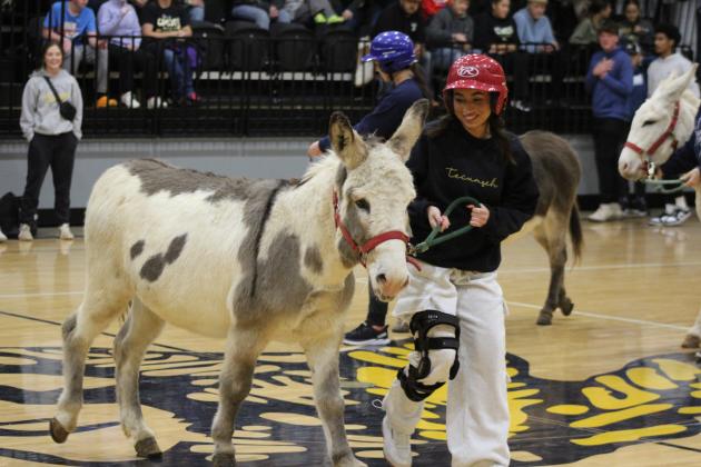 Donkey Basketball
