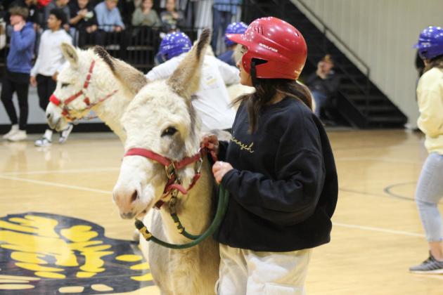 Donkey Basketball