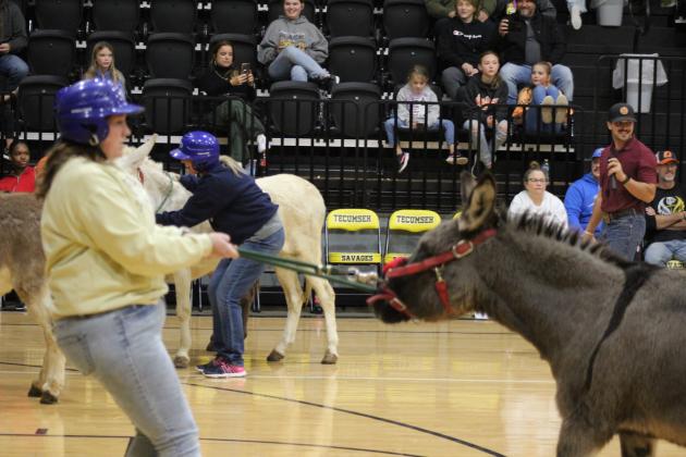 Donkey Basketball