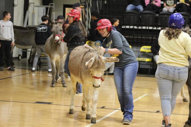 Donkey Basketball