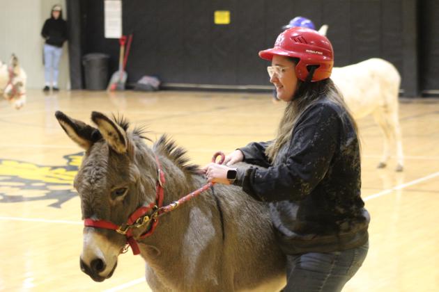 Donkey Basketball