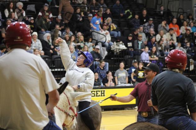Donkey Basketball