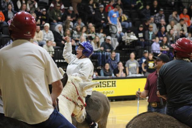 Donkey Basketball