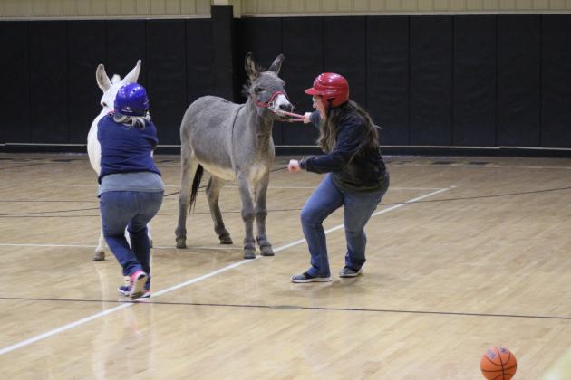 Donkey Basketball