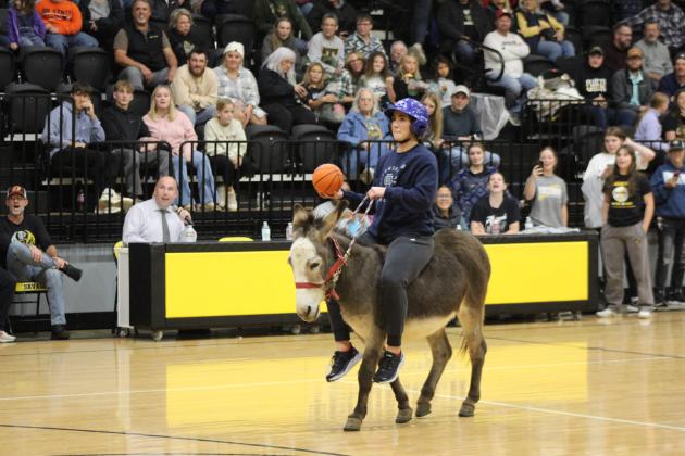 Donkey Basketball
