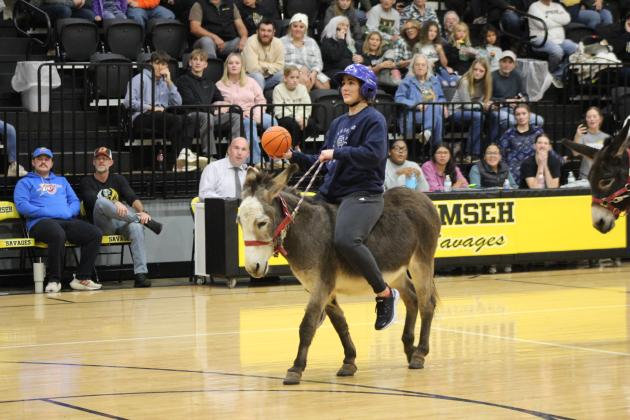 Donkey Basketball