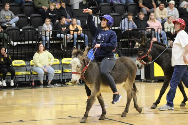 Donkey Basketball