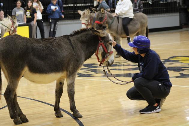 Donkey Basketball