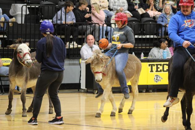 Donkey Basketball