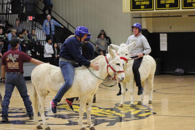 Donkey Basketball