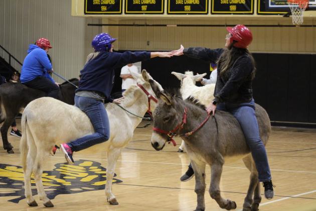 Donkey Basketball