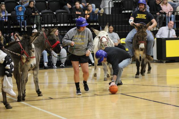 Donkey Basketball