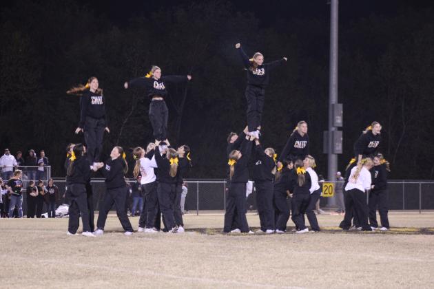Tecumseh Cheerleaders