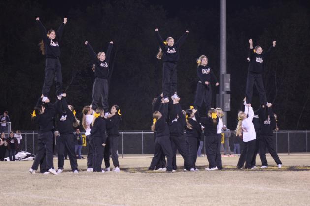 Tecumseh Cheerleaders