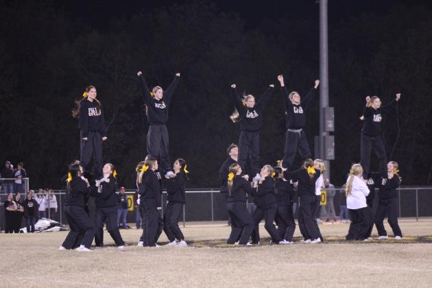 Tecumseh Cheerleaders