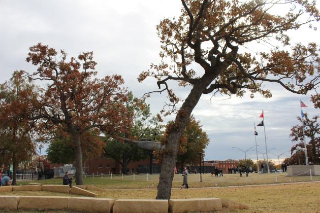 Woodland Veterans Park Re-Opening