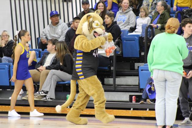 Bethel Mascot