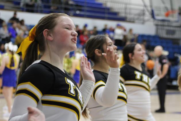 Tecumseh Cheerleaders