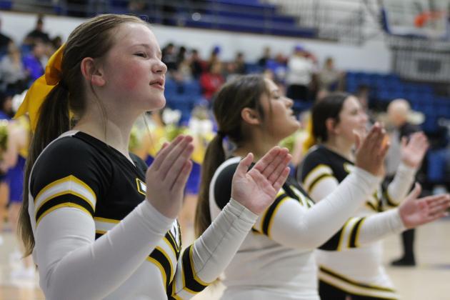 Tecumseh Cheerleaders