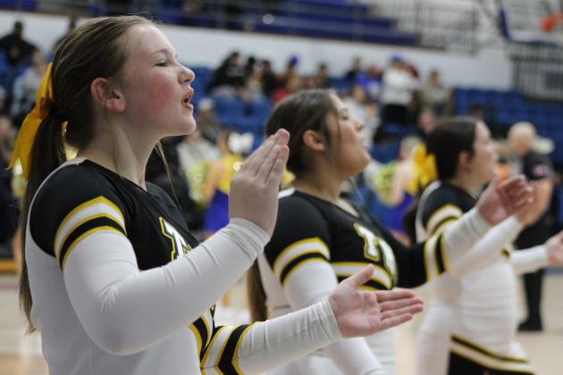 Tecumseh Cheerleaders