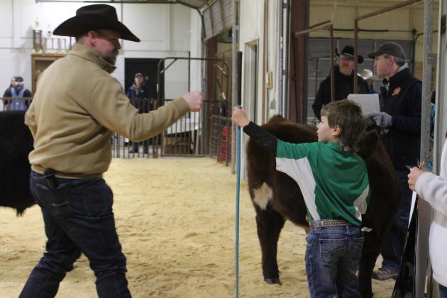 Tecumseh alum and Livestock Judge Dexter Matlock gives third-grader Jimmy Spears a fist bump, for showing in the Prospect Steer class of the Tecumseh 4-H and FFA Local Livestock Show, Feb. 17. Spears received first in class one and Reserve Prospect Steer. Countywide &amp; Sun/Natasha Dunagan