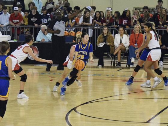 Ava Gascon dashes down the court in the season ending game against No. 1 ranked Washington of the opening game of the 3A Championship at the State Fair Arena.  Bethel suffered a heartbreaking loss 54-27 as both teams emptied their benches.  Countywide &amp; Sun/Julie Talton