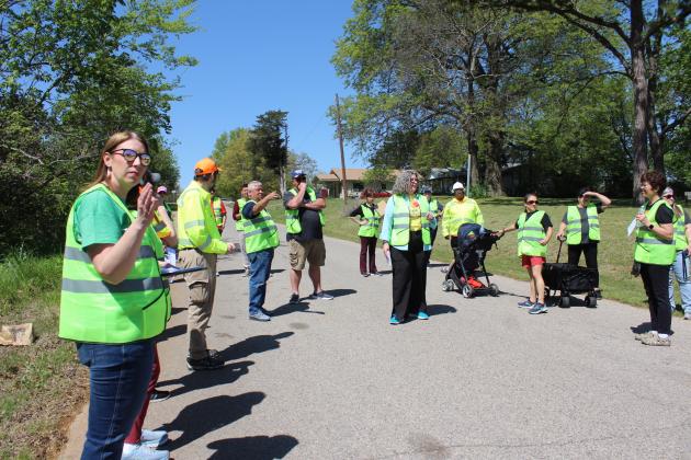 Tecumseh Walking Audit
