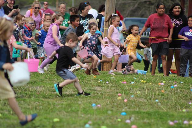 Children, ages four to five, run into the field of plastic Easter eggs during the Tecumseh Citywide Easter EGGsperience on March 30, organized by the Tecumseh Assembly of God Church. There were 8,000 eggs to collect, prize drawings, inflatables, live music, hotdogs and drinks at the event. Countywide &amp; Sun/Natasha Dunagan