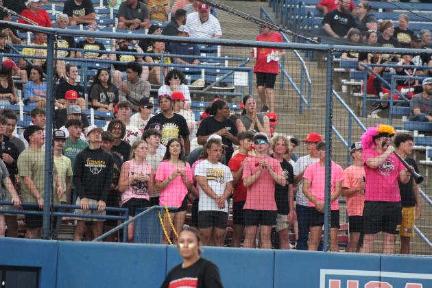 Savage fans
