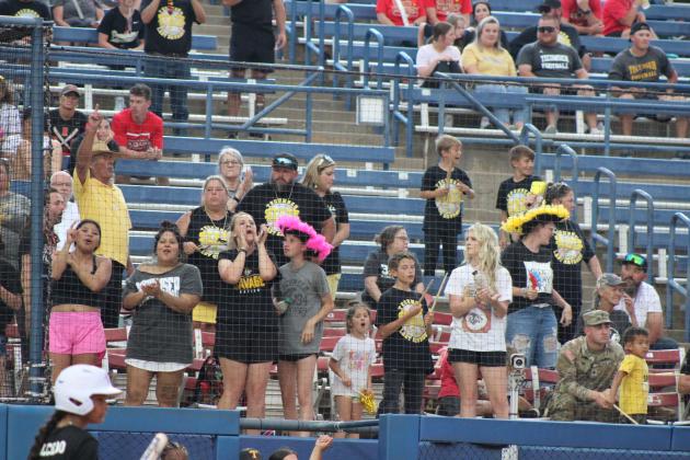 Savage fans