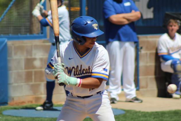 Wildcat Woodbat Classic