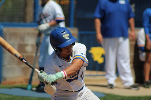 Wildcat Woodbat Classic