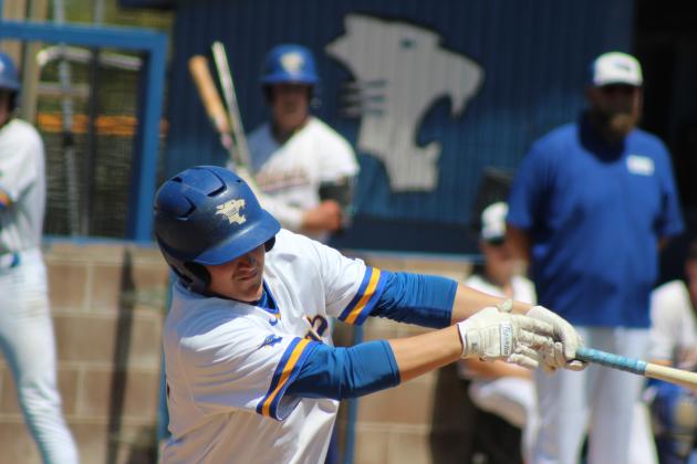 Wildcat Woodbat Classic