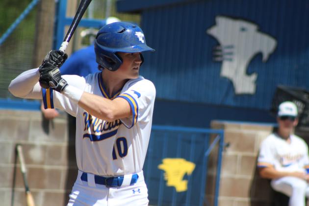 Wildcat Woodbat Classic
