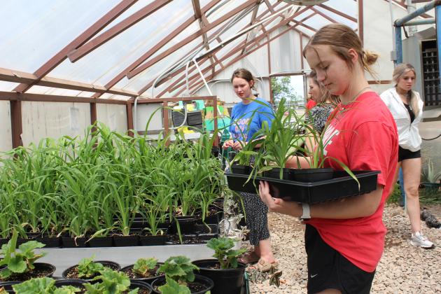 Tecumseh agriculture student Addison Taron selects some daylilies for Keli Brown, as Brown talks with THS Ag Teacher Mara Carman, center, at the annual Tecumseh High School FFA Plant Sale on April 25. Carman said they offered bedding plants, vegetables, herbs, hanging baskets, large planter gardens and dish gardens. They also added wildflowers. Countywide &amp; Sun/Natasha Dunagan
