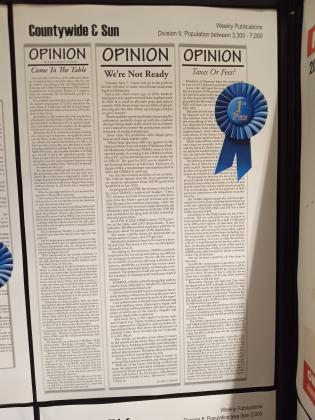 First place in Columns for Suzie Campbell