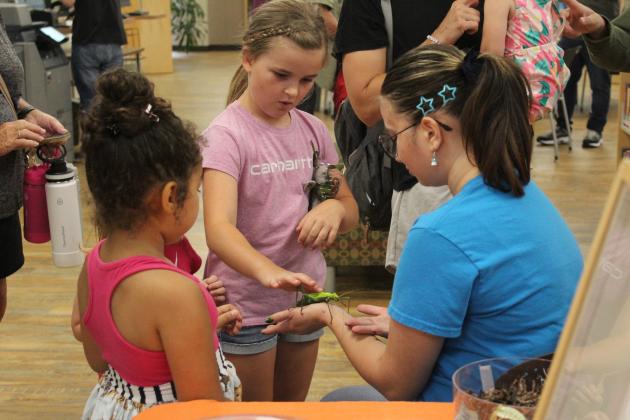 OSU student and volunteer Ivy McCray handles a Jungle Nymph Walkingstick as a girl pets it during OSU's "Insect Adventure" during Bugfest at the Shawnee Public Library on June 1. McCray said she eventually wants to become a forensic entomologist. "Insect Adventure" featured 12 sets of bug collections and about 25 live insects and arachnids. In addition, Bugfest offered a honey tasting, story time, and crafts. Countywide &amp; Sun/Natasha Dunagan