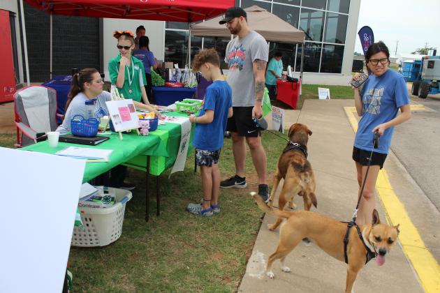 Cooper Eagleston, 9, of Tecumseh, plays a game about what you can and can't feed pets created by Ember Luna of Bethel at Pups &amp; Pals/Healthy Kids Day on June 1.
