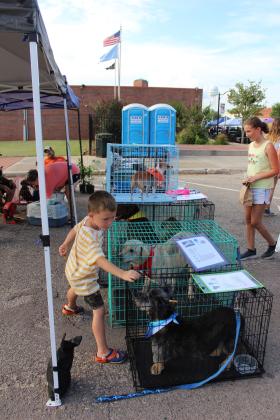 Ryatt Boyer, 6, of Tecumseh, feeds Ghost and Petey some dog treats during the Mingle on Main Street Block Party, June 20, in Tecumseh. The dogs are available through the foster-based Southern Paws Rescue, based in Pottawatomie County. Visit their website or Facebook page for more information. Countywide &amp; Sun/Natasha Dunagan
