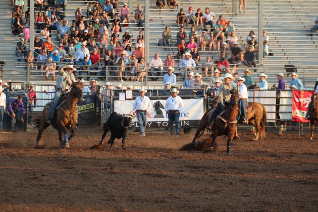 IFYR 2024