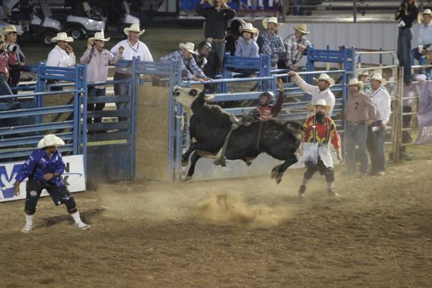 IFYR 2024