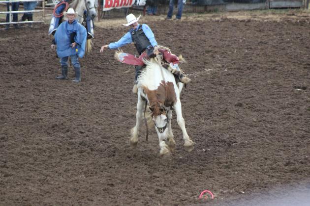 IFYR 2024