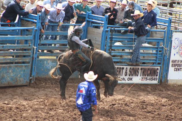 IFYR 2024