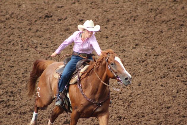 IFYR 2024
