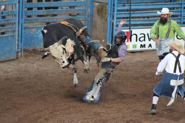 McCrae Rogers, of Hume, MO, dismounts from his bull, July 9, at the International Finals Youth Rodeo. Countywide &amp; Sun/Natasha Dunagan