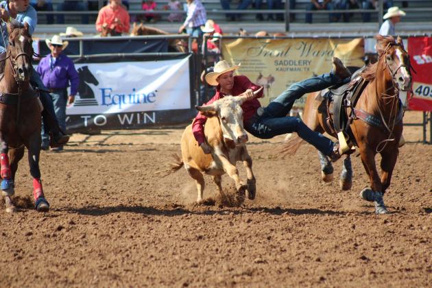 Trey Weekley, of Southwest, FL, descends on a steer intent on taking it down, July 10, at the International Finals Youth Rodeo. Countywide &amp; Sun/Natasha Dunagan