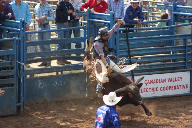 IFYR 2024