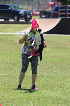 Rayna, the 4-year-old Border Collie, jumps up to snatch a frisbee thrown by Jamee Salley. The Tornado Alley Disc Dogs presentation, out of Blanchard, featured three dogs - Rayna, Suzie Q., and Demmy - at Slick Humphrey Park on June 27. at the Tornado Alley Disc Dogs presentation at Slick Humphrey Park on June 27. The Disc Dog show was part of the Tecumseh Pioneer Library Systems Summer Learning Challenge. Salley, along with Jeff Savage, of Blanchard, spoke about safety around dogs, as well. Countywide &amp; Sun